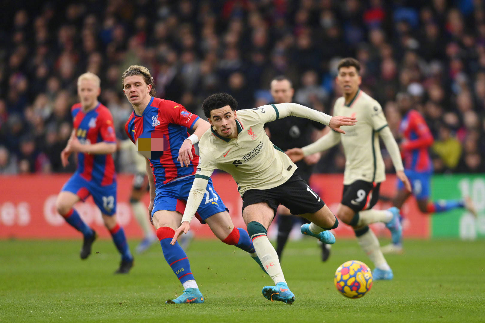 取欧战资格 取欧战资格